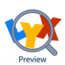LyX Preview
